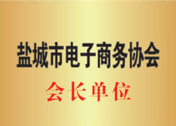 盐城市电子商务协会会长单位